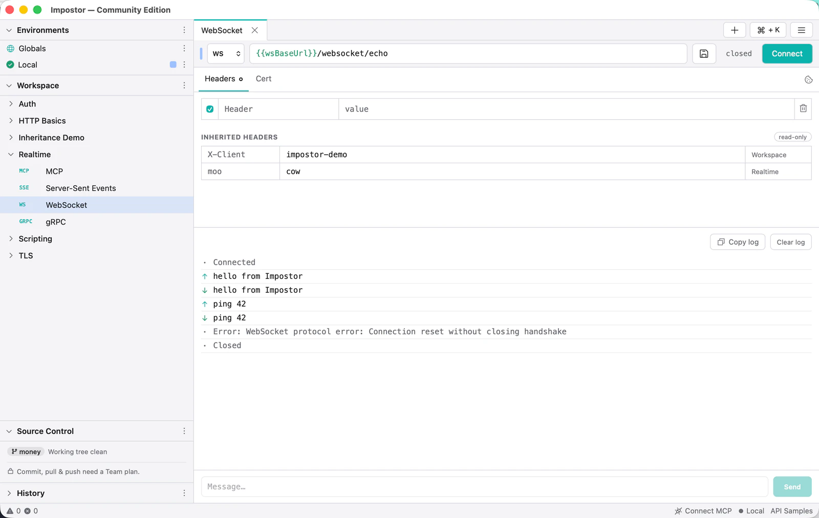 A connected WebSocket session showing sent and received frames in a log, with a message composer at the bottom.